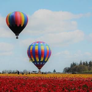 Meet your Posher, Dulce